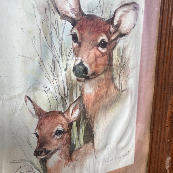3/$30 💖 VTG Deer & Fawn Framed Wall Art Print - Picture 4 of 12